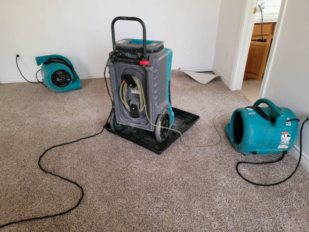 Best Flood restoration services  in Oneida, TN