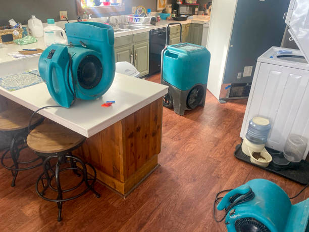 Best 24-hour water damage restoration  in Oneida, TN