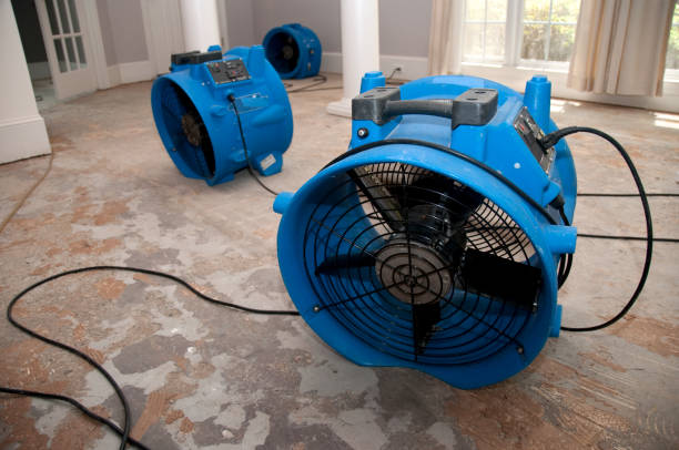 Best Water damage restoration cost  in Oneida, TN