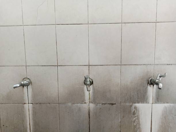 Best 24/7 water damage repair  in Oneida, TN