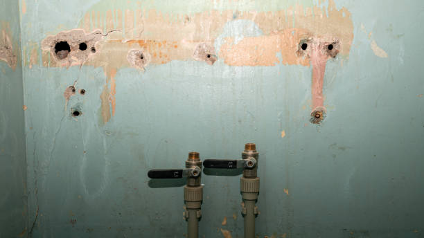 Best Water damage restoration near me  in Oneida, TN