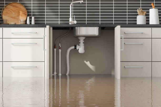 Best Flood restoration services  in Oneida, TN