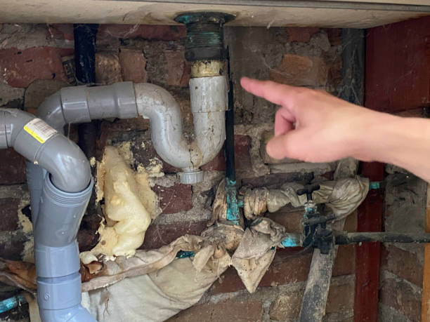 Best Mold removal after water damage  in Oneida, TN