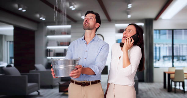 Best Ceiling water damage repair  in Oneida, TN