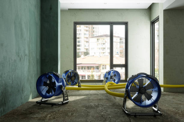 Best Basement water damage restoration  in Oneida, TN